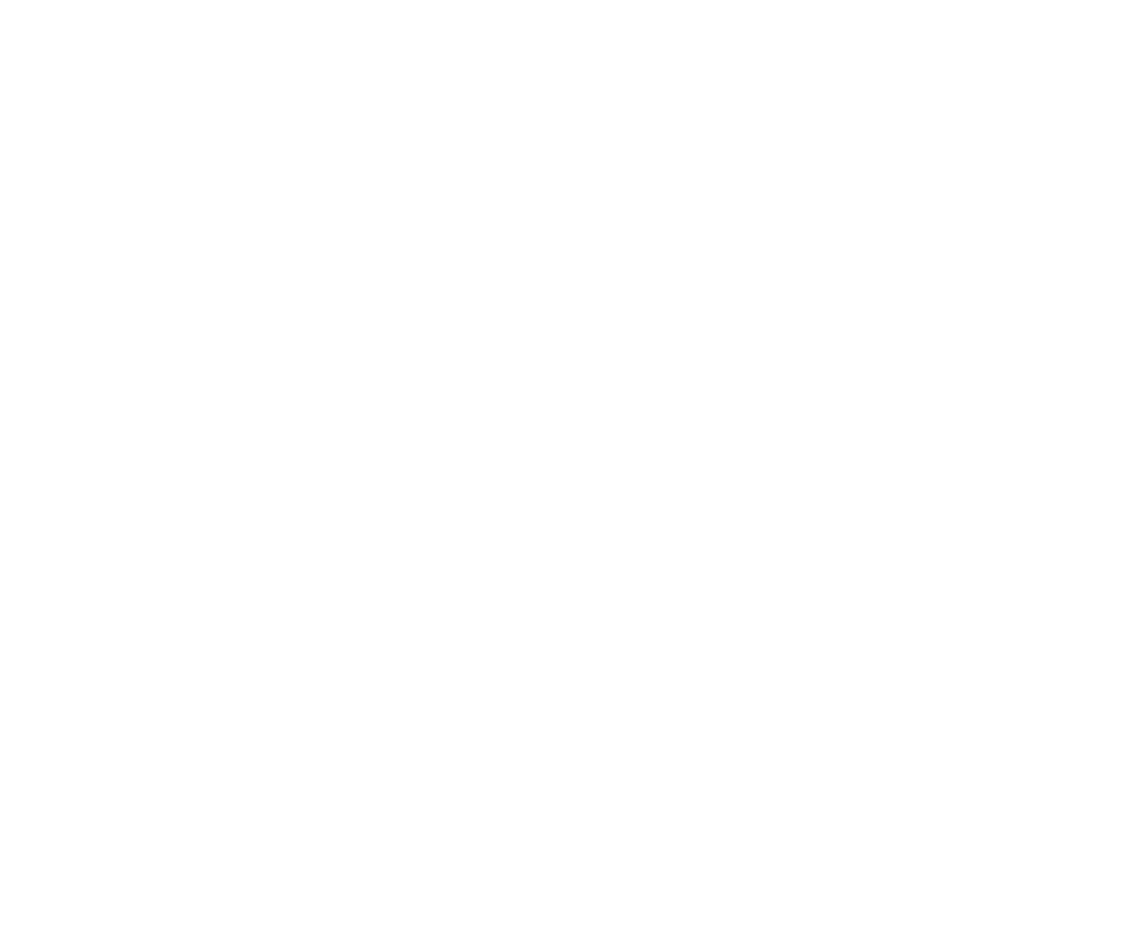 Icon Boxes