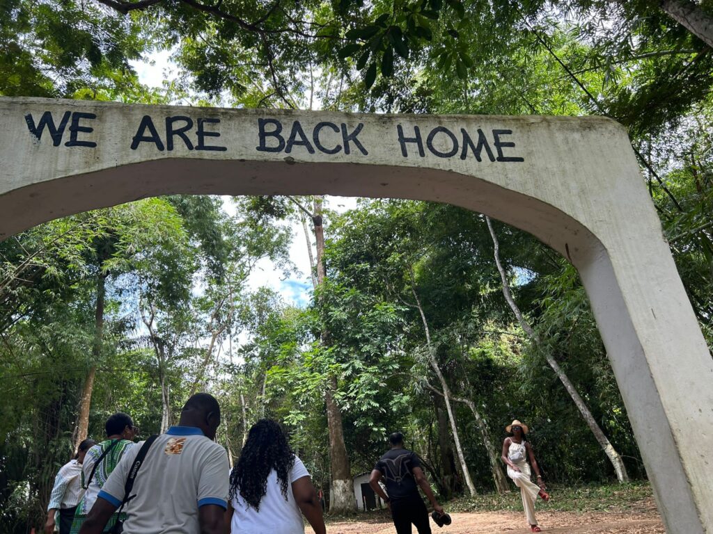 2e264d96 E241 406a Adec 914fbdf6d3de