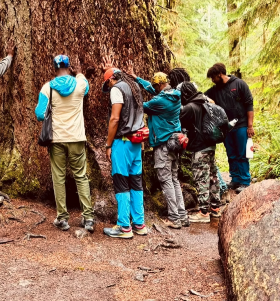 Screenshot 2026 04 16 At 4.20.54 pm